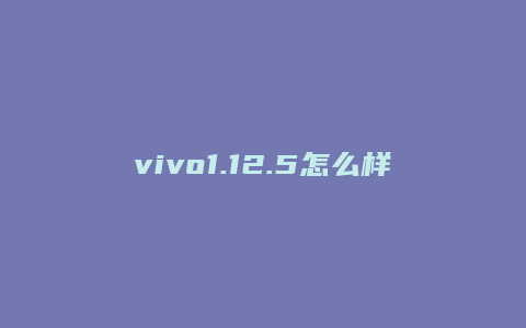 vivo1.12.5怎么样