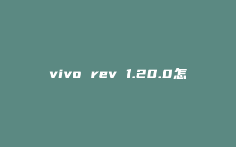 vivo rev 1.20.0怎么样