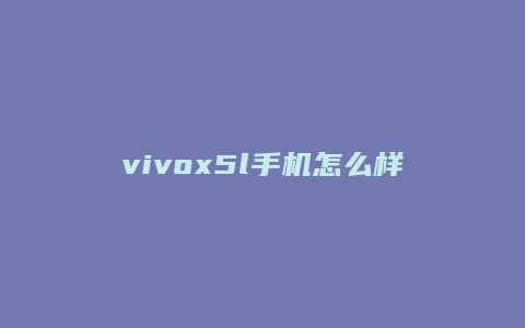 vivox5l手机怎么样