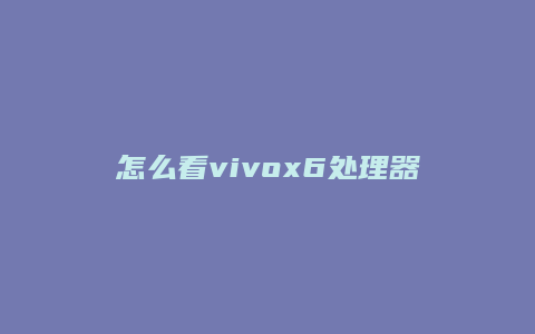 怎么看vivox6处理器