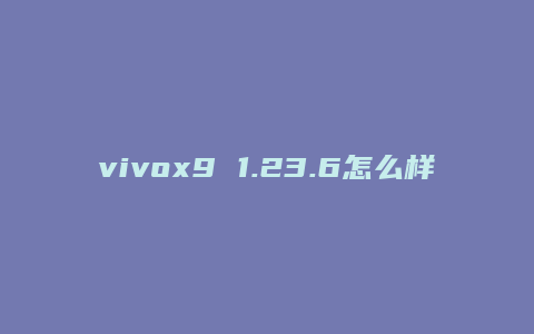 vivox9 1.23.6怎么样