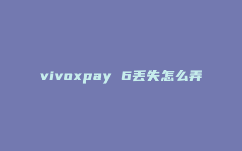 vivoxpay 6丢失怎么弄